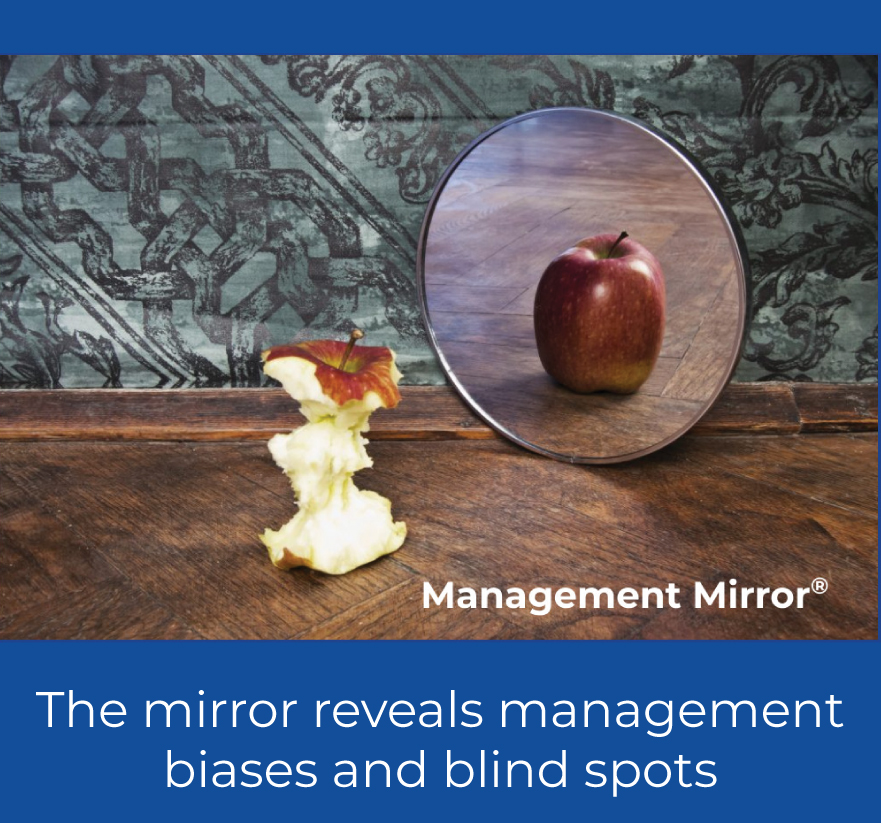 The Management Mirror MRA Research